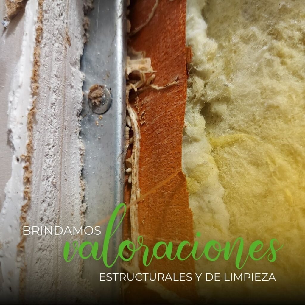 ECOPESTCR Control de PLAGAS (11)